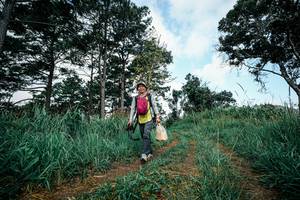 BIB: 
                            <button type="button" onclick="openModal(26001989)" class="btn btn-primary btn-sm float-right btn-popup" data-toggle="modal" data-target=".modal-high-quality">
                        <i class="fas fa-shopping-cart"></i> Add to Cart
                    </button>
                                            <button type="button" onclick="isThisMe(26001989, true)" class="btn btn-success btn-sm float-right btn-popup btn-isme hidden" data-toggle="tooltip" data-placement="bottom" title="นี่คือรูปของคุณใช่ไหม คลิกที่นี่เพื่อเอาเข้าอัลบั้ม">
                        <i class="fas fa-plus"></i> Add to album
                    </button>
                    <button type="button" onclick="isThisMe(26001989, false)" class="btn btn-warning btn-sm float-right btn-popup btn-isnotme hidden">
                        <i class="fas fa-ban"></i> Remove from album
                    </button>